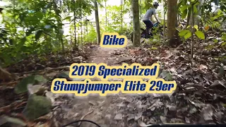 Quick Sections of Bukit Timah Trails in Singapore