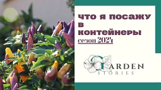 КАК Я БУДУ УКРАШАТЬ КРЫЛЬЦО в новом сезоне  / что растет в контейнерах /контейнерный огород /