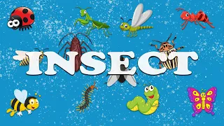 ABC Insects | ABC | Vocabulary | Words From Alphabets