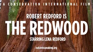 Nature Is Speaking – Robert Redford is The Redwood | Conservation International (CI)