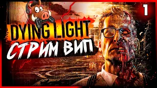 Dying Light стрим игры➤ Прохождение сюжета даинг лайт на русском➤ #1Рассвет мертвецов