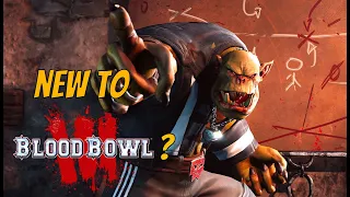 'Blood Bowl 3 Ultimate Beginner's Guide   Strategy, Teams, and Gameplay Tips