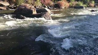 River Rapids on the Taylor River Near Almont Colorado