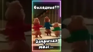 Классных выходных!