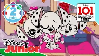 101 Dalmatian Street | The Puppy Name Song - Music Video With Lyrics 🎶 | Disney Kids