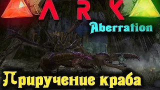 Приручаем гигантского краба Karkinos в ARK: Survival Evolved