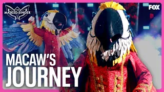 Macaw’s Journey | Season 9 Ep. 14 | The Masked Singer