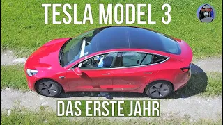 TESLA Model 3   Das erste Jahr