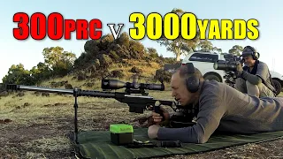 300prc v 24" target at 3000 yards