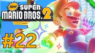 NEW! Super Mario Bros 2 3DS! WALKTHROUGH: Part 22: COLLECTING COINS (6)