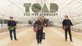 Toad The Wet Sprocket - Transient Whales (Official Video)
