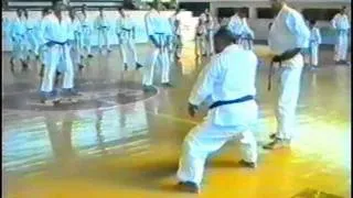 IKS RUSSIA - Taiji Kase seminar 4 part, (Macedonia,1995 year ).mpg