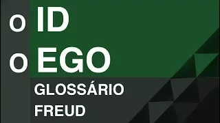 O id e o ego - Glossário Freud | Christian Dunker | Falando daquilo 24