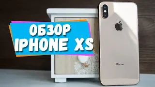 Обзор iPhone XS. Камера, экран, нюансы.