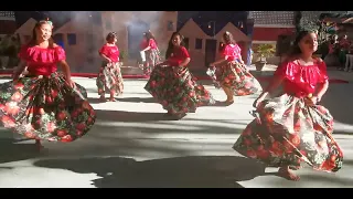 Dança de Carimbo