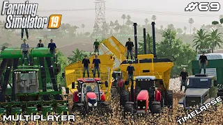 Harvesting cotton in South Brazil | South Brazil | Multiplayer Farming Simulator 19 | Episode 69