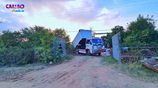 Village Land filling up New project! Processing by 5Ton dump truck & Mini dozer moving dirt to clear