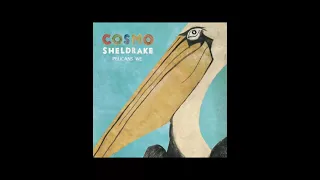 the fly by cosmo sheldrake, But slowed down.