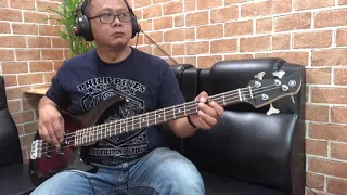 Have You Ever Seen The Rain (CCR) - Bass Cover