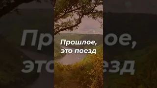 Слова со Смыслом 💯 Мудрость Жизни. Верно Сказано. Цитаты Дня #shorts