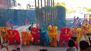 9 Lion Dance with 2 Acrobatic Lion Dance & Dragon Dance