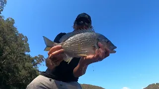 Not MASTERCLASS Bream Fishing Tips But, They Work. (Hawkesbury River)