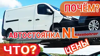 Обзор автостоянки в Голландии по микроавтобусам: что есть? и почём купить?