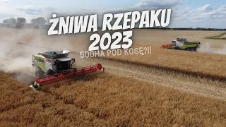 ☆ ŻNIWA NA WIELKA SKALE ☆ ROL-BUD LUBOMIERZ ☆ 500HA VS 4 KOMBAJNY ☆  TESTY NOWEGO NABYTKU?!! ☆