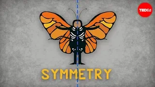 The science of symmetry - Colm Kelleher