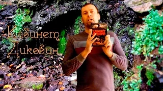 "Кабинет диковин" от Линкольна Чайльда и Дугласа Престона. ТРИЛЛЕР