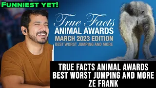 True Facts Animal Awards: Best Worst Jumping and More (ze frank) Reaction