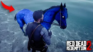 You'll Never Ride Arabian Horses If You Ride This N2 - RDR2