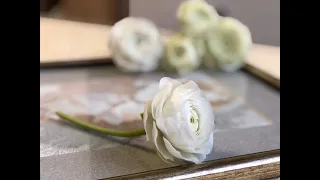 Белый ранункулюс из холодного фарфора. Cold porcelain white ranunculus.