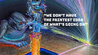 Terence McKenna - We Don't Have The Faintest Idea