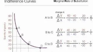 Indifference Curves and Marginal Rate of Subsitution