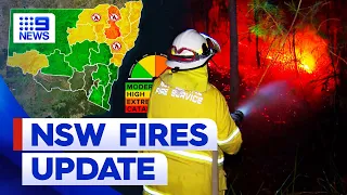 Homes lost and land destroyed in terrifying taste of bushfire season in NSW | 9 News Australia