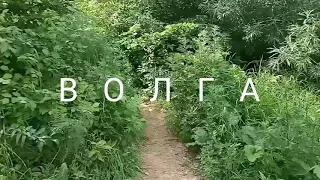 Волга-матушка река.📽️🎶