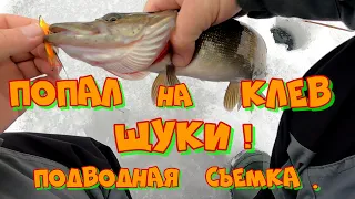 ЛОВЛЯ ЩУКИ на БАЛАНСИР в КАМЫШЕ ! ТАКОЙ РЫБАЛКИ я не ОЖИДАЛ !