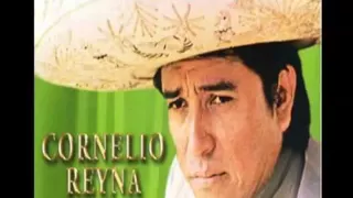 cornelio reyna   me caiste del cielo