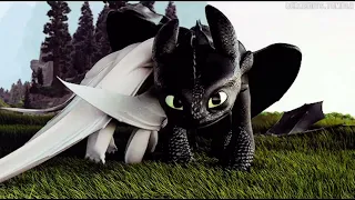 Toothless and the light fury lalala