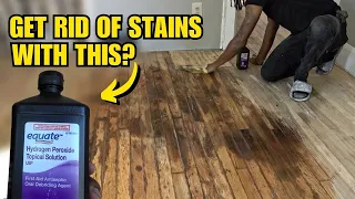 Way to Remove Pet Urine from Hardwood Floors? Renovating an Abandoned 3 Family Part 20