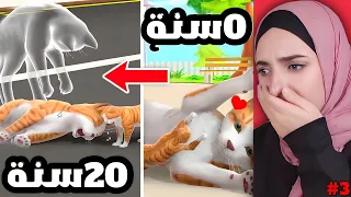 عشت حياة قطة من الولادة الى الموت #3  محاكي القطة | CAT Life Simulator