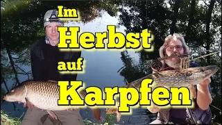 Angeln auf Karpfen im Herbst | GROSSKARPFEN an nostalgischem Gerät