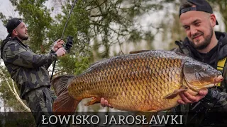 Karpie , Amury - Łowienie z rzutu / Komercja / Łowisko Jarosławki - Vlog34