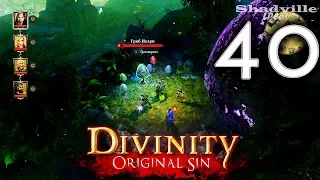 Divinity: Original Sin (PS4) Прохождение #40: Хижина белой ведьмы