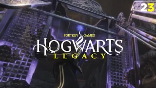 THEY CAN GIVE A NASTY NIP IF PROVOKED | Hogwarts Legacy - Part 23 (PC)