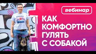 Бесплатный вебинар Насти Бобковой «Как комфортно гулять с собакой»