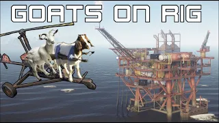How many times can the goats run rig?