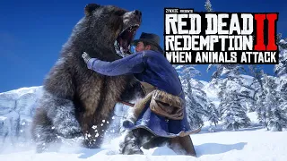 When Animals Attack #7 (RDR2 Brutal Moments)