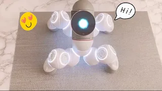 Clicbot, Spider bot tutorial with Jibo, WJ2